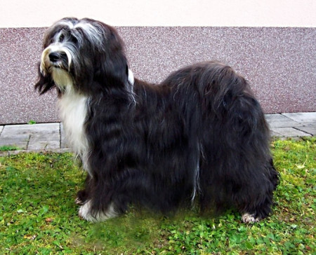 Orlenna of Wild Marry